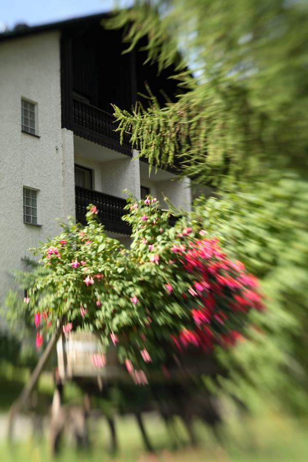 Landhaus Am Forst - Apartments Bad Alexandersbad Exterior photo